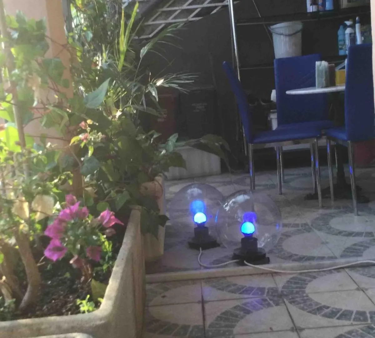 Vip Garden Jacuzzi Seaview In The Hearth Of Downtown Apartment La Spezia Italy